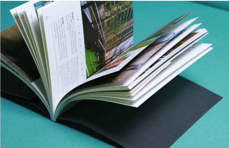 1672217491183826.jpg 1672217491183826.jpg